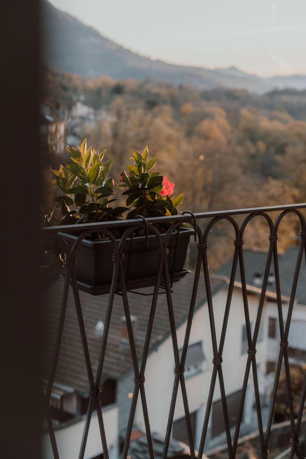 Guesthouse Giulietta E Romeo Cossogno Extérieur photo
